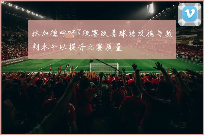 林加德呼吁K联赛改善球场设施与裁判水平以提升比赛质量