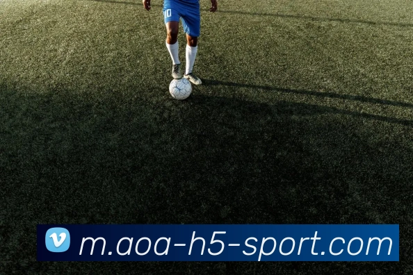 AOA体育APP 高清赛事图